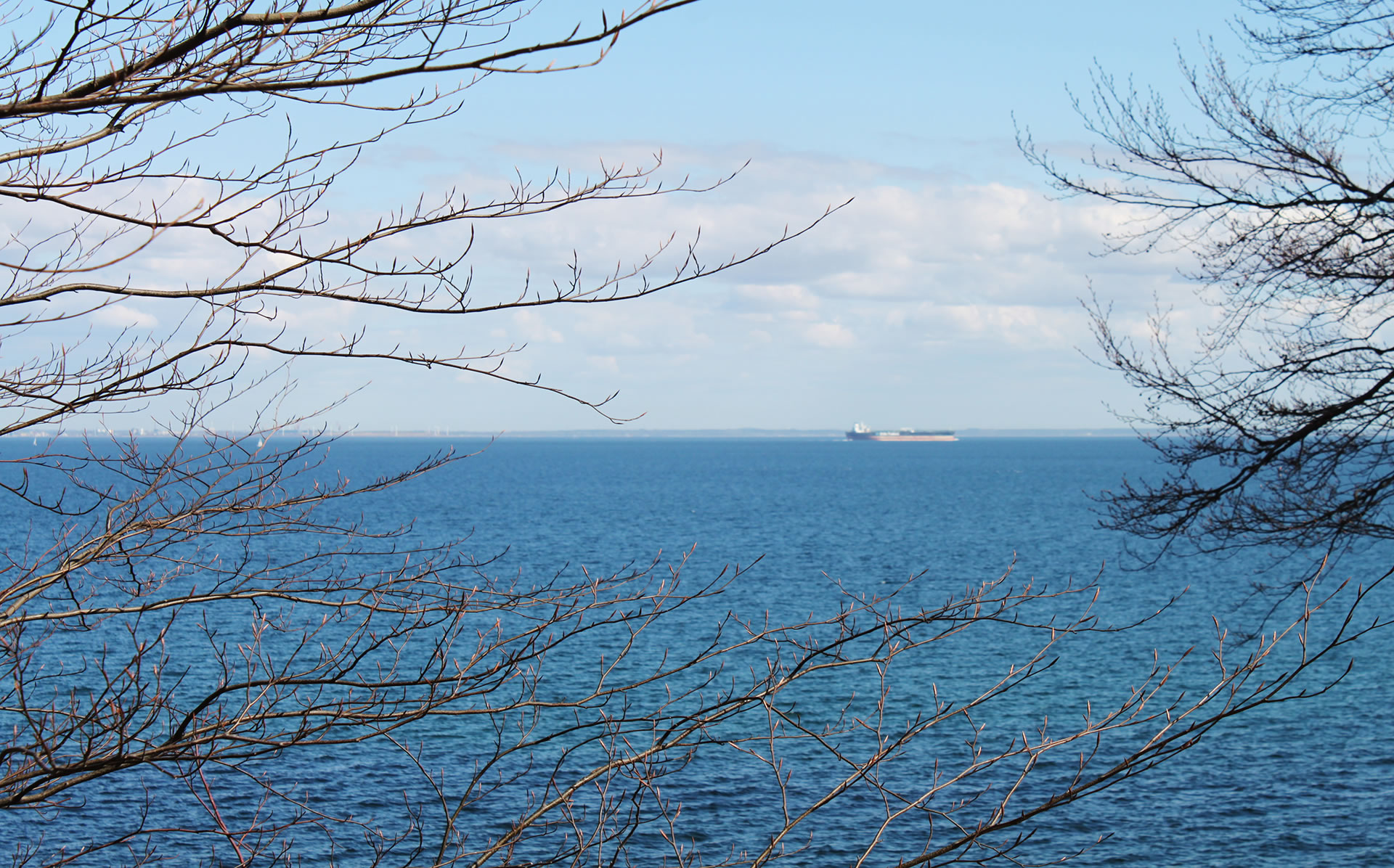 designermoebel rosenlund rechteck 20a