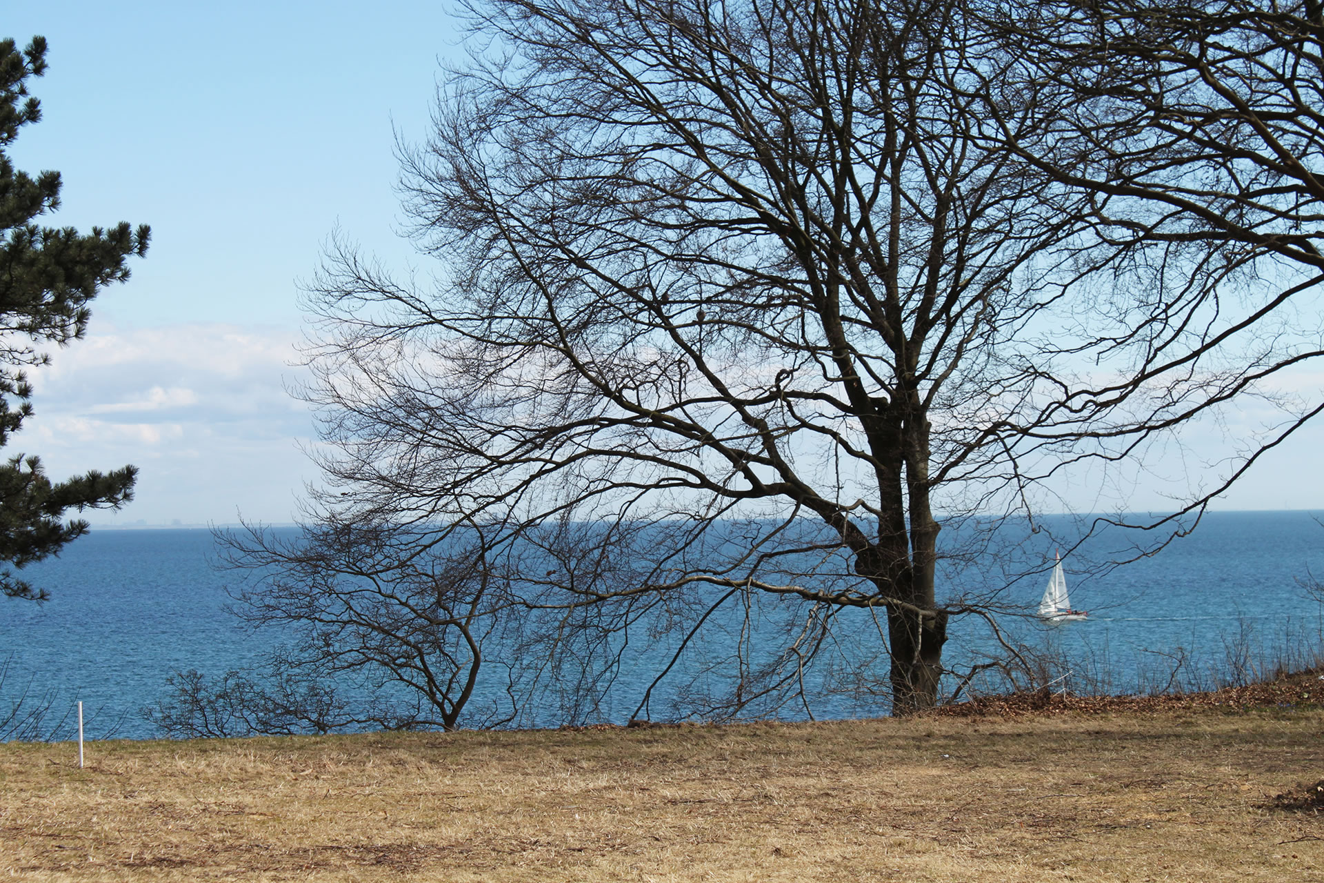 designermoebel rosenlund rechteck 3a