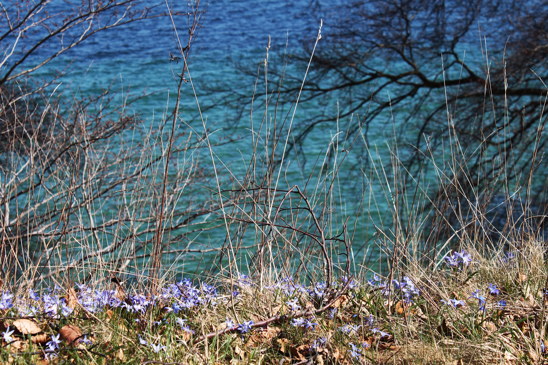 designermoebel rosenlund rechteck 8a