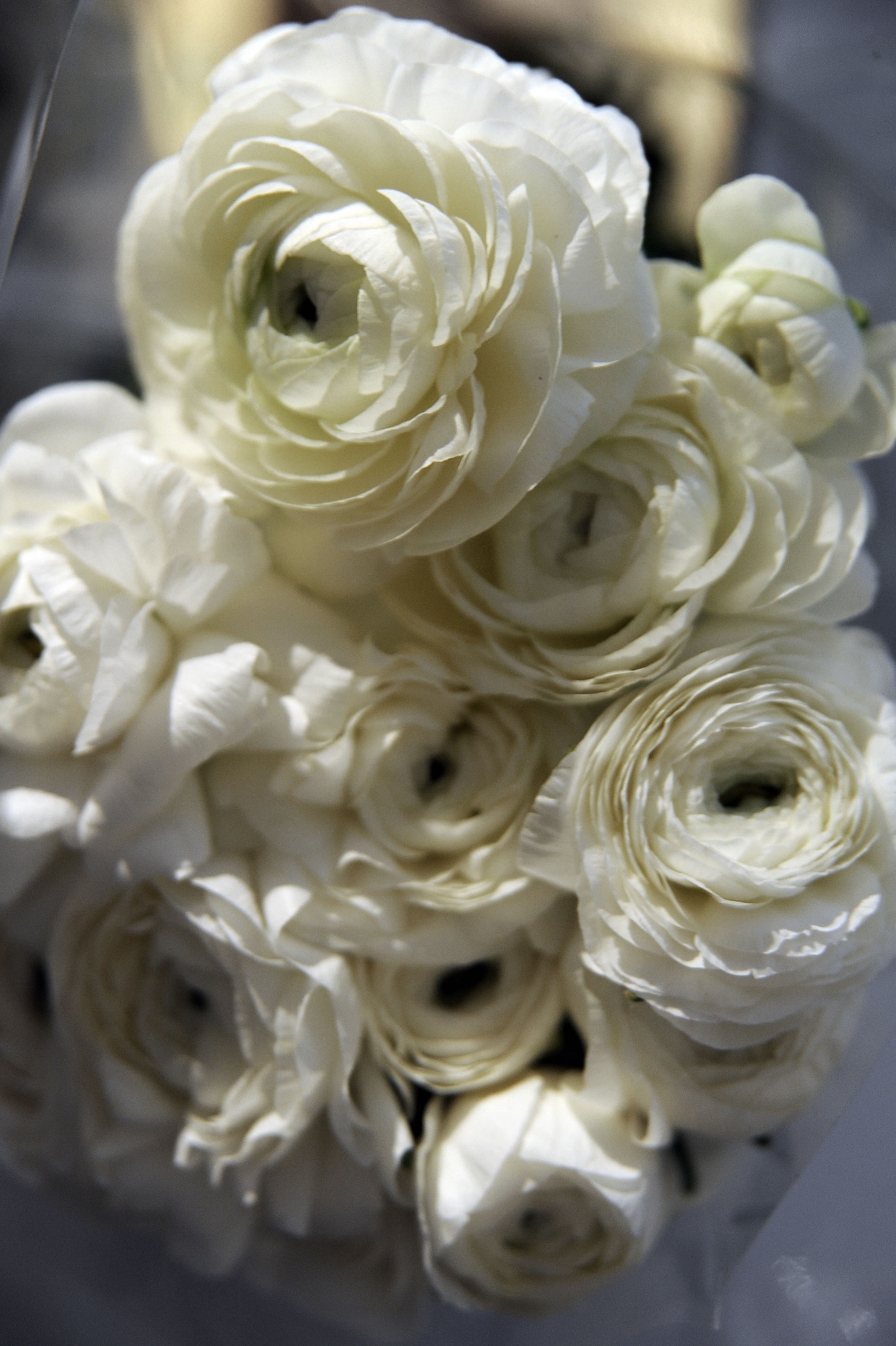 moebel hersteller design deutschland kochen felix schwake rechteck 17